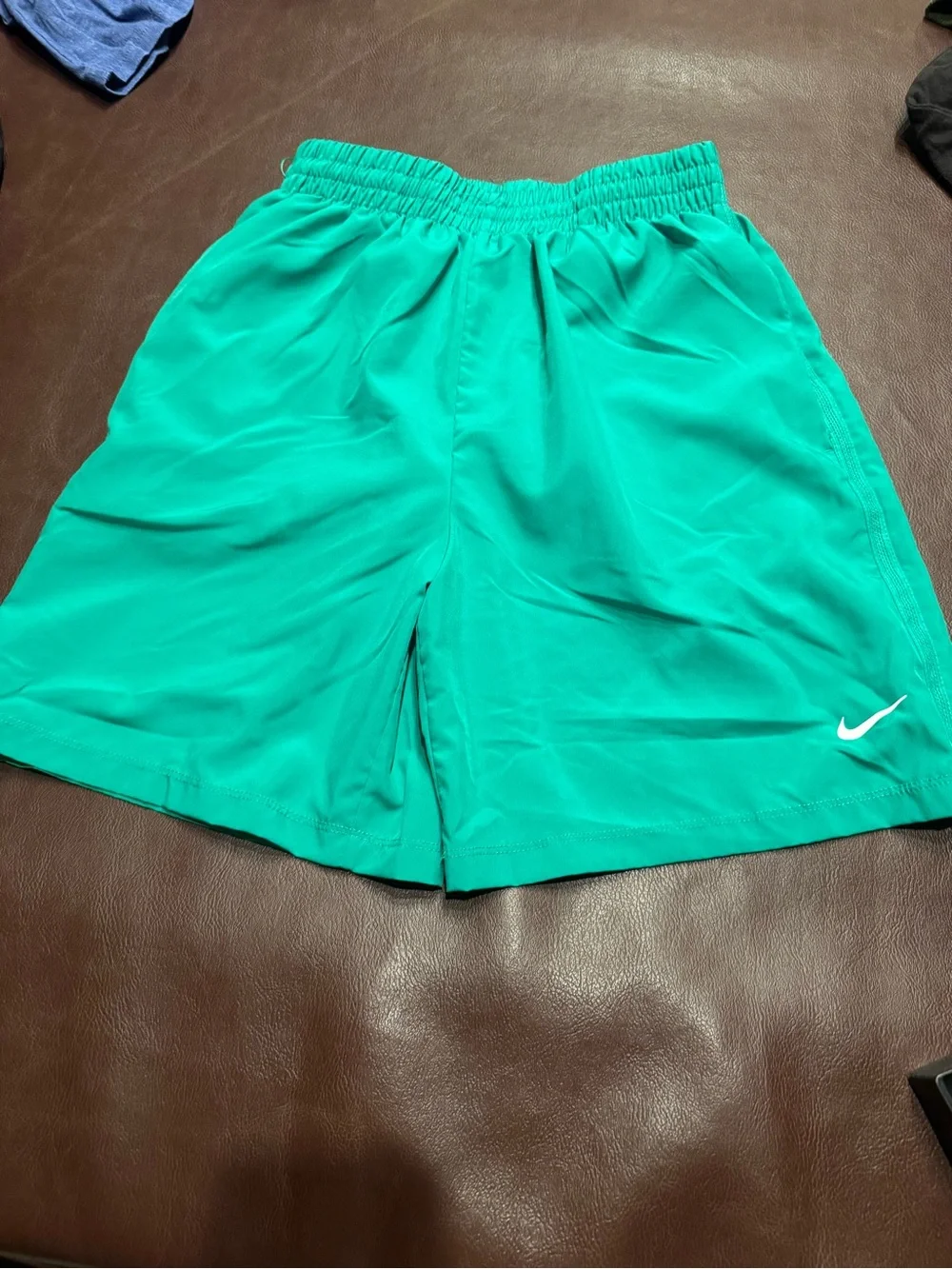 Nike lot  Grey Shorts & green